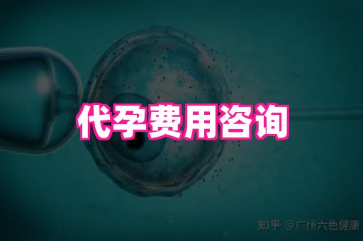 江苏助孕网 4